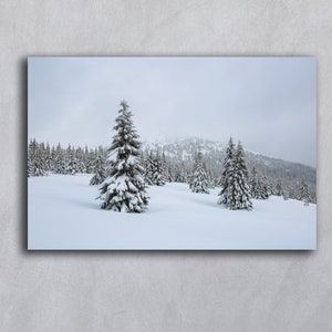 Impression numérique de paysages d'hiver Épinette Paysages d'hiver Impressions nature Paysage d'hiver Photographie monochrome de carte postale Imprimable en ukrainien