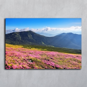 Różowe kwiaty górskie fotografia Letnie kwiaty fotografia Górski krajobraz Kwiat rododendronu Różowe pocztówki Modny plakat ścienny