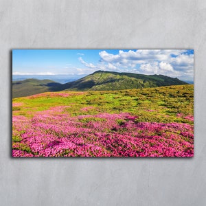 Fotografía de montaña con flores rosas, postales de flores de rododendro de primavera, póster con fondos descargables horizontales, arte mural con paisajes