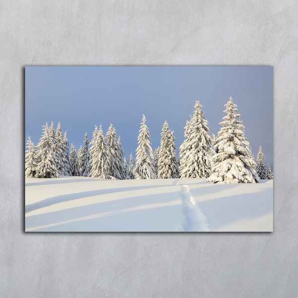 Winter tree, Photography prints, Winter landscape, Print forest, Living room wall art, Pine tree, Nature Prints, Winter snowy landscape