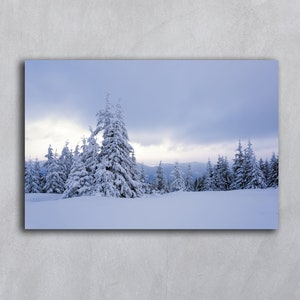 Fotografia di paesaggi invernali, Download digitale di alberi, Arte murale di montagna, Foto stampabile di foreste innevate, Stampa cartolina Arte murale di paesaggi invernali da favola