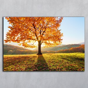 Herbst digitaler Download Fotografie, Herbstbaum Drucke, Printables Herbstlandschaften, Herunterladbare Kunstdrucke, Orange Baum horizontale Poster