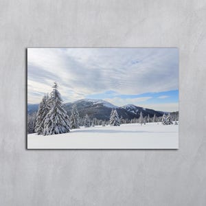 Forêt enneigée, téléchargement numérique de photographies d'hiver, impression de photos de paysage, montagnes des Carpates, paysages d'hiver, impression d'arbre de neige