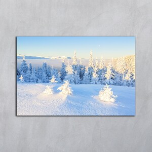 Impressions d'arbres d'hiver à télécharger, paysages d'hiver à imprimer, photographie numérique grise, forêt enneigée en hiver, décoration photo d'art mural horizontal