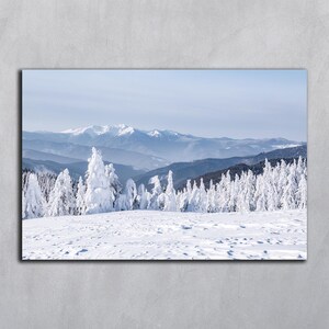 Photographie de Noël, téléchargement numérique de paysages d'hiver, paysages de montagne enneigés, pelouse, neige, arbres à feuilles persistantes, fond d'écran enneigé