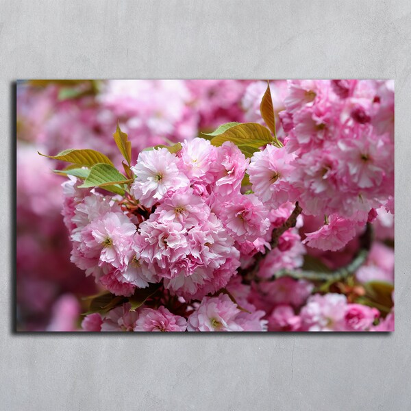 Sakura prints download Cherry blossom Japanese pink flower Digital download Spring digital photography Summer print Ukrainian home decor