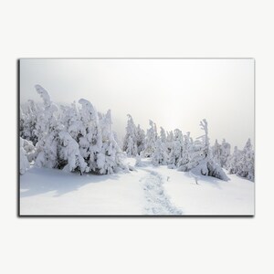 Téléchargement numérique d'hiver, photo des Carpates, photographie de paysage, impression de la nature à télécharger, impression ukrainienne, épicéa horizontal