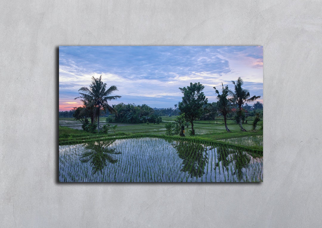 Bali Palm Trees Green Rice Terraces Digital Download Palm Art Prin ...