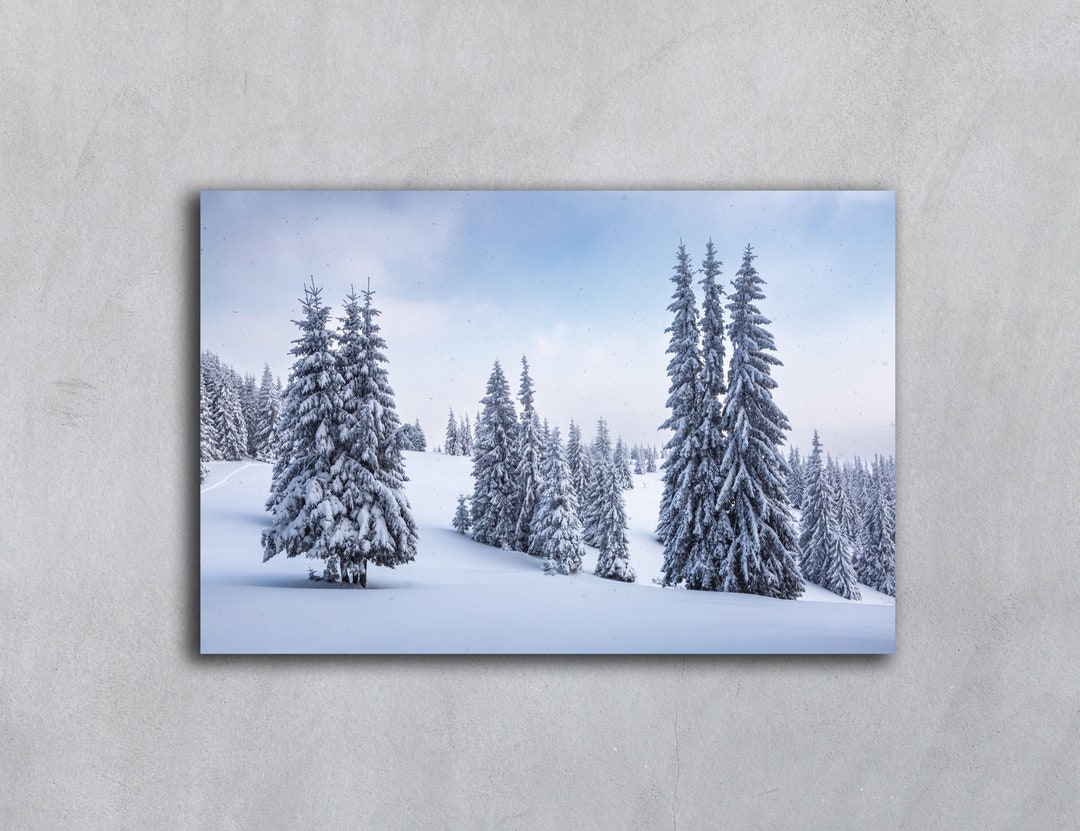 Winter Photography Snowy Tree Printable Digital Download - Etsy