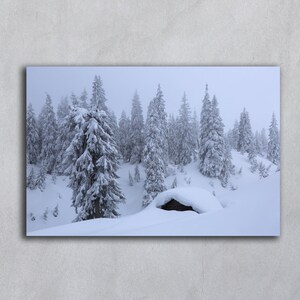 Fotografía de invierno de tejado en la nieve, bosque nevado de invierno, postales de árboles de Navidad, impresiones digitales de invierno para descargar, fotografías para imprimir