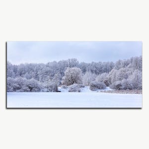 Fotografia panoramica di paesaggi invernali, alberi sempreverdi, poster orizzontale di Natale, sfondo di foresta innevata Download digitale