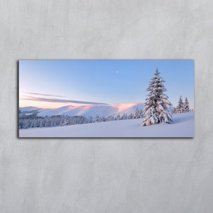 Panoramaaussicht Winterlandschaft Winterwald Rasen Schnee Immergrüne Bäume Weihnachtswunderland Verschneite Tapete Hintergrund Digitaler Download