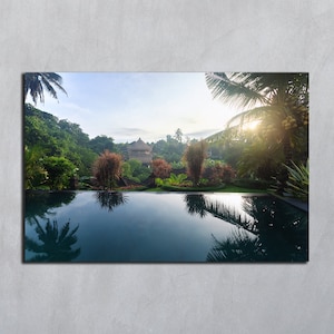 Paysage au lever du soleil Téléchargement de photographies numériques au coucher du soleil Plante tropicale Cartes postales pour piscine Palmiers de Bali Cocotiers Paysage d'arrière-plan forestier