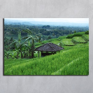 Bali Poster Druck Tropische Waldlandschaft Grüne Reisterrassen Digitaler download Palmen Kunstdrucke Kokospalme Digitalfotografie