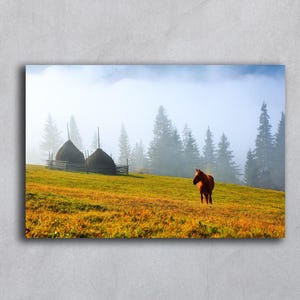 Hästfoto Höstlandskap med berg Höstfoto av höstackar Karpaterna Nedladdningsbar höstkonst Höstträd naturfotografitryck