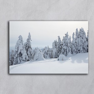 Puede incluir: Fotografía de paisaje de una escena de montaña nevada. La imagen presenta árboles de hoja perenne cubiertos de nieve y un pequeño iglú. El cielo está nublado y la nieve es prístina. La escena evoca una sensación de tranquilidad invernal.
