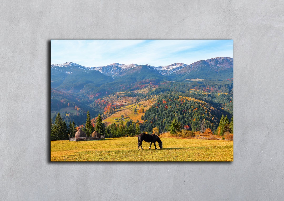 Autumn Mountain Landscape Horse Photo Haystacks Fall Photo Carpathian ...