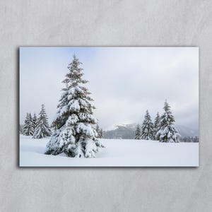Paesaggio invernale, Download digitale di alberi, Arte murale di montagna, Fotografia stampabile di foreste innevate, Cartolina stampabile, Arte murale di paesaggi invernali da favola
