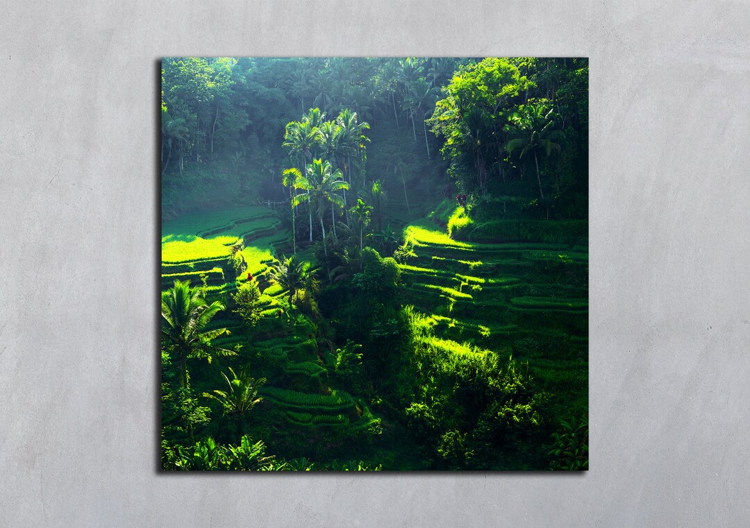 Bali Palm Trees Green Rice Terraces Digital Download Palm Art Prin ...