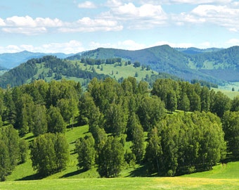 Höhen 0,4-0,9 m Breiten 3,33 m bis 8 m Modellbahn-Hintergrund /"Rheintal/"