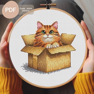 Patrón de punto de cruz "Gato en una caja": Diseño de bordado felino (Descarga PDF)