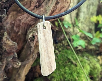 Antler necklace / pendant