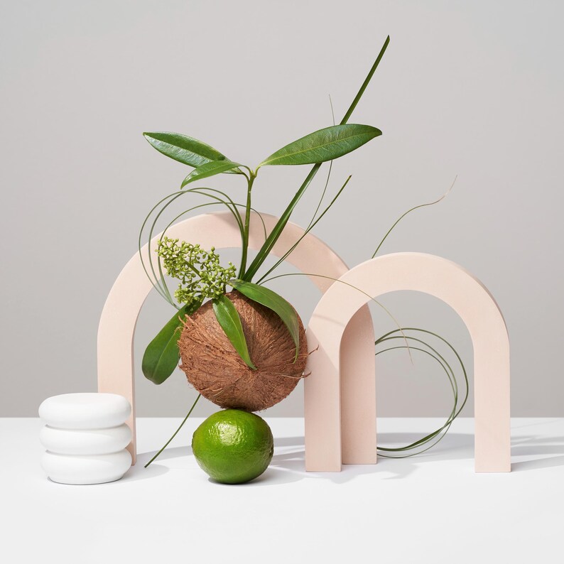 Puede incluir: Una composici&oacute;n de naturaleza muerta con un coco marr&oacute;n adornado con hojas verdes y peque&ntilde;as flores blancas, equilibrado sobre una lima verde. Una pila de tres objetos blancos de forma ovalada est&aacute; a la izquierda. Dos estructuras rosas en forma de arco en el fondo.
