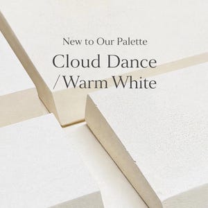 Pode incluir: Imagem de blocos retangulares texturizados em branco sujo, dispostos de forma minimalista. O texto "New to Our Palette" e "Cloud Dance / Warm White" &eacute; exibido em uma fonte limpa e moderna, sugerindo uma apresenta&ccedil;&atilde;o de paleta de cores ou de produto.