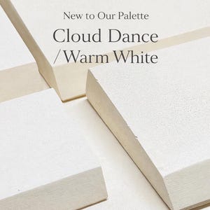 Puede incluir: Composici&oacute;n abstracta con formas geom&eacute;tricas en tonos blancos y crema. El texto "New to Our Palette" y "Cloud Dance / Warm White" se muestra en una fuente minimalista, sugiriendo un tema de dise&ntilde;o o arte.
