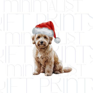 Clipart di Goldendoodle natalizio, acquerello, clip art di cane, cucciolo festivo, PNG PDF, simpatico doodle dorato con cappello da Babbo Natale, file di design digitale