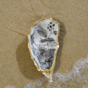 Peut inclure: Un plat en coquille d'huître avec un bord doré, posé sur du sable. L'intérieur présente une illustration botanique en noir et blanc de feuilles et de baies. Le plat est partiellement immergé dans l'eau, avec de petites vagues visibles.