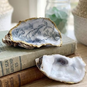 Op de afbeelding: Twee decoratieve oesterschelpen. De bovenste schelp heeft een witte binnenkant met een gedetailleerde blauwe bloemenillustratie en een metallic goud geschilderde rand. De onderste schelp heeft een gladde witte binnenkant met een donker centrum en een goudkleurige rand.