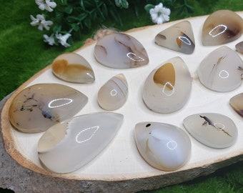 May include: A collection of 17 teardrop-shaped agate cabochons in various shades of white, brown, and gray. The cabochons are arranged on a wooden display stand.