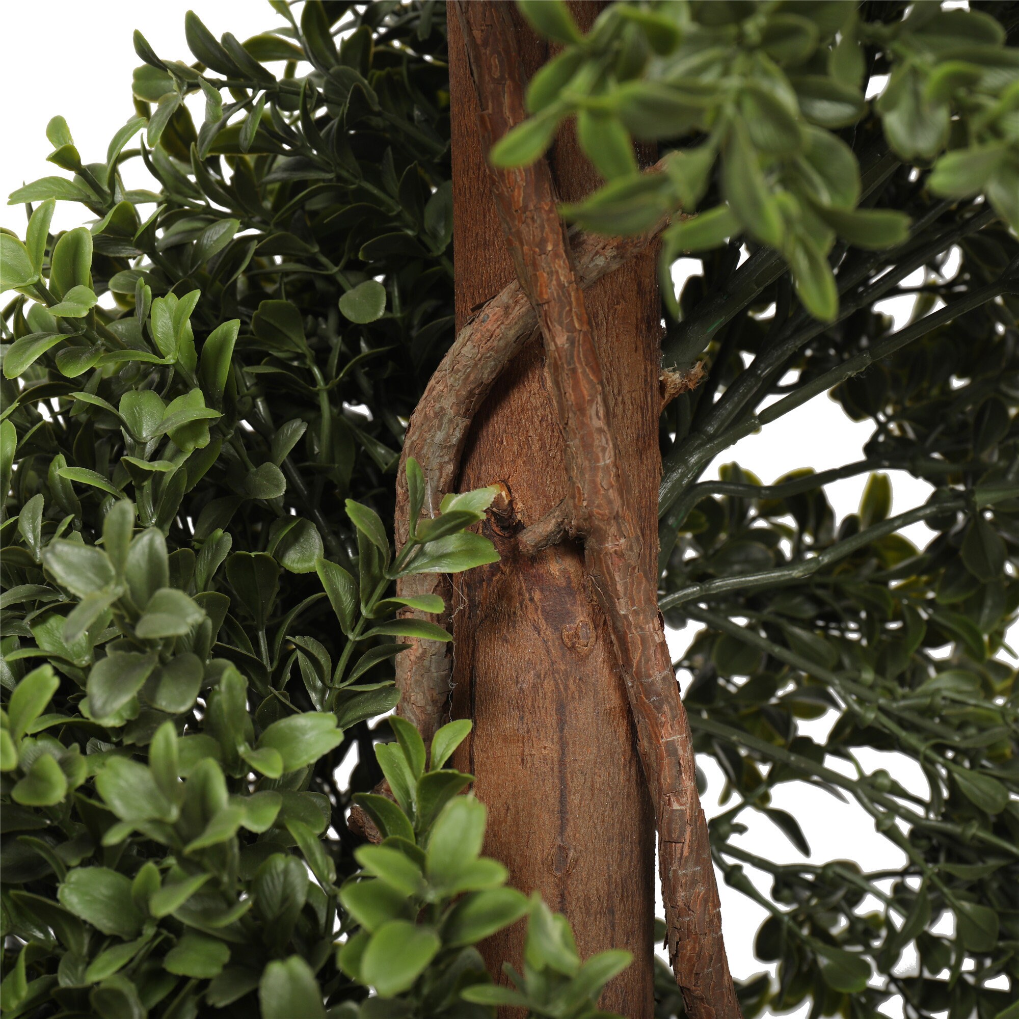 Artificial Buxus Boxwood Spiral Tree Outdoor UV Resistant Etsy UK