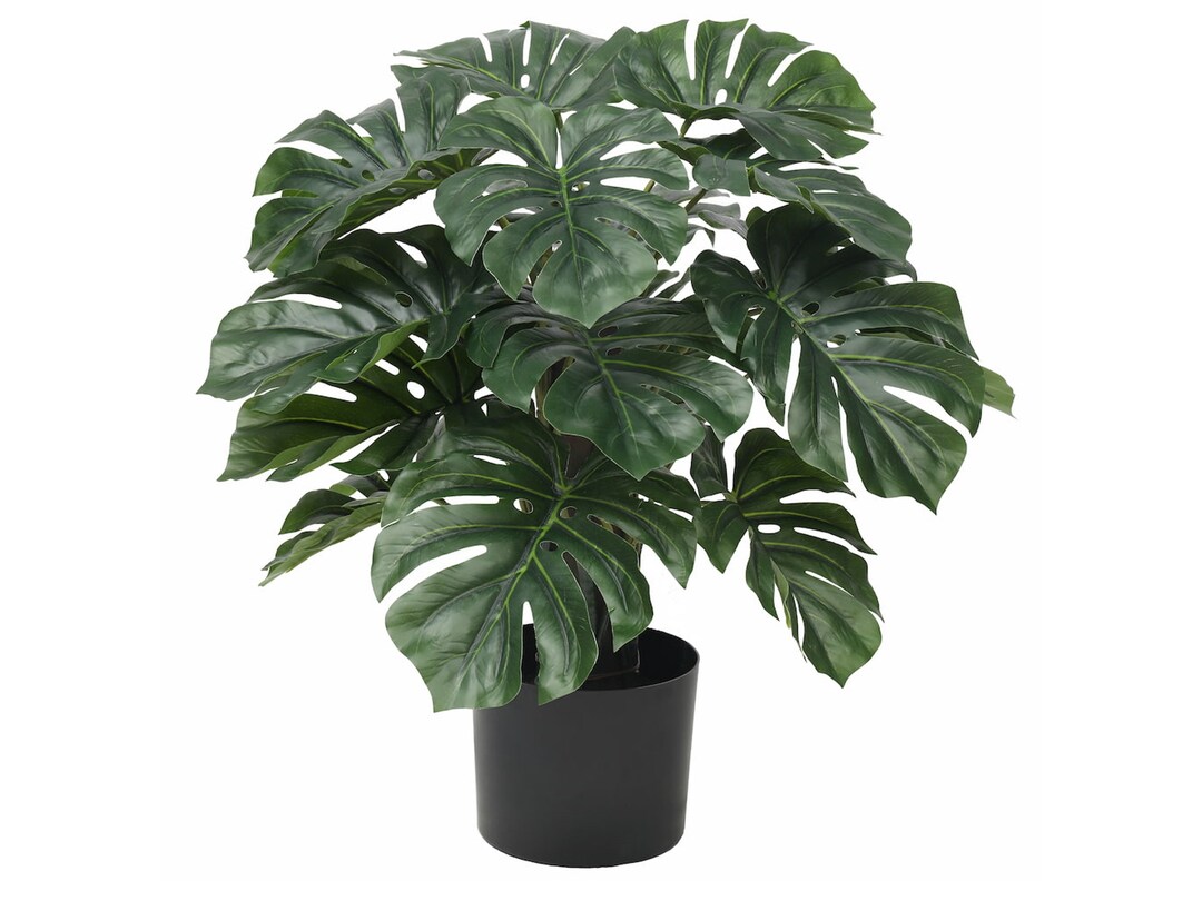 Monstera Artificial Plant 60cm Indoor Faux Cheese Plant Etsy UK