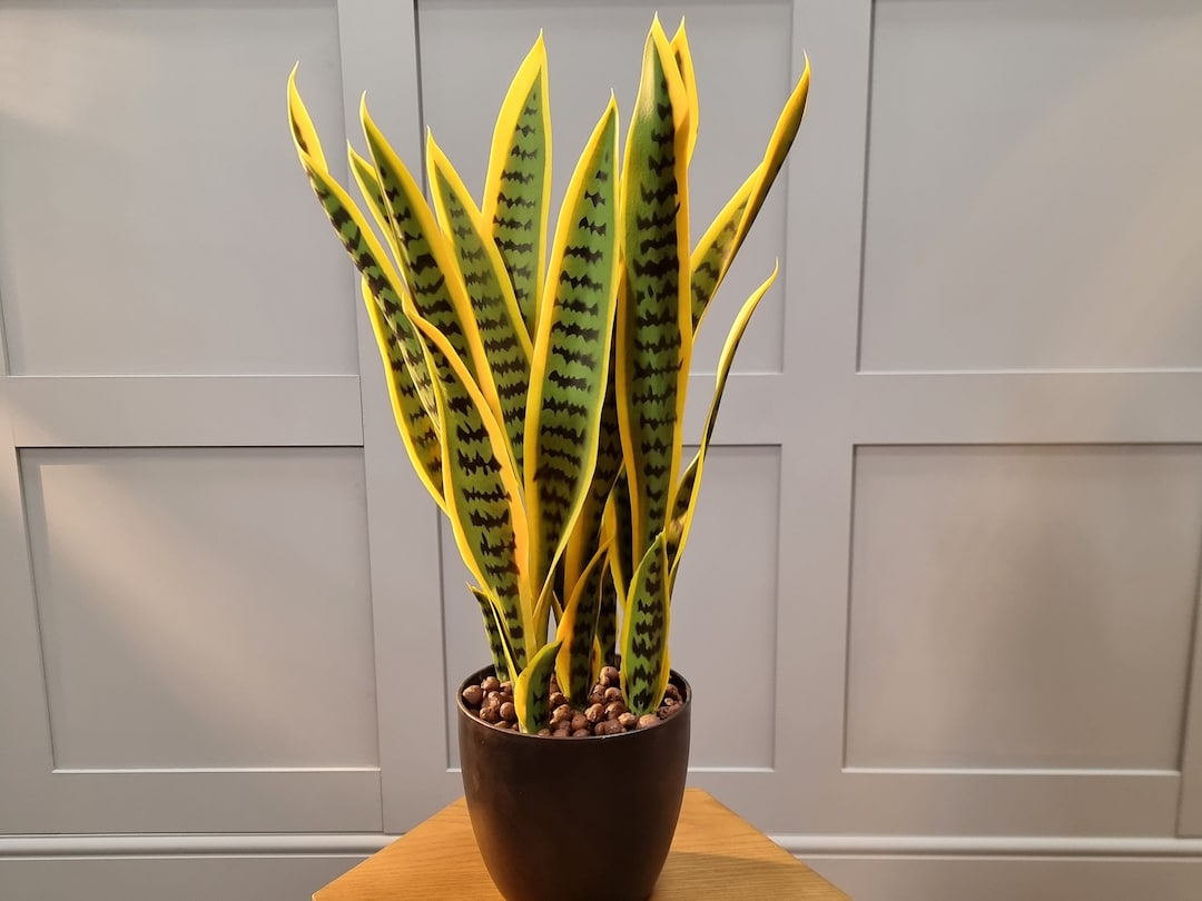 Artificial Snake Plant In Bulk at Harland Sarmiento blog