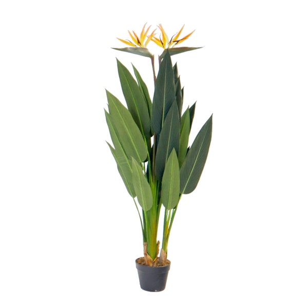 Artificial Bird of Paradise Plant - 1.3m - Indoor Faux Tree
