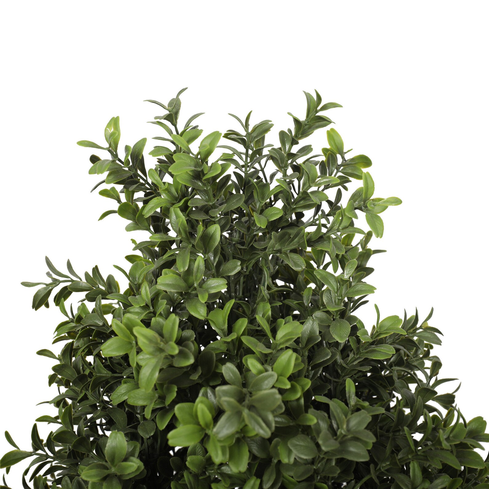 Artificial Buxus Boxwood Spiral Tree Outdoor UV Resistant Etsy UK