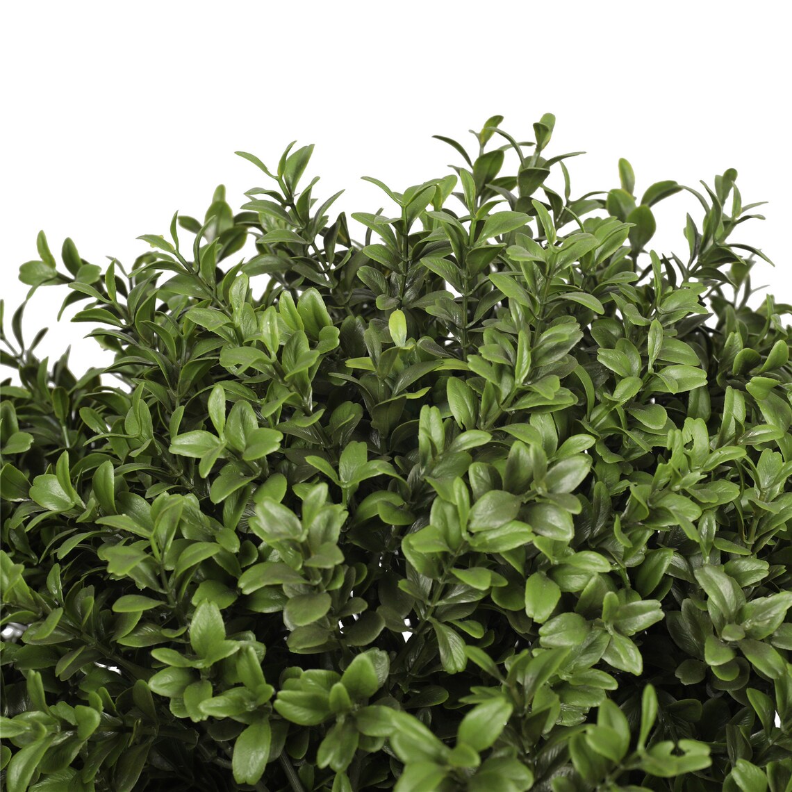 Artificial Buxus Boxwood Single Ball Tree Outdoor UV Etsy UK