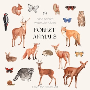 Clipart aquarelle animaux de la forêt - bébé animal des bois - mignon cerf renard hibou pic papillons écureuil hérisson baby shower de la forêt png thumbnail