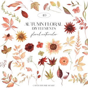Autunno DIY Wildflower Acquerello Clipart - Autunno Florals Foglie Girasole Borgogna Arioso Fiori Fogliame Rustico Boho Matrimonio Invito Carta PNG