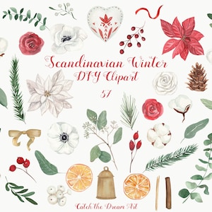 Scandinavian Winter Florals DIY Acquerello Clipart Poinsettia Anemone Rose Eucalipto Pino Abete Nordico Natale Ornamenti Adesivi Carta