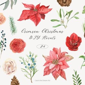 Aquarelle de Noël bricolage fleurs Clipart fleurs d'hiver cramoisi rouge poinsettia amaryllis roses pomme de pin houx fougère à feuilles persistantes verdure png