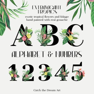 Tropisch alfabet & cijfers clipart-gouache tropische bloemen exotische palmbladeren zwarte letters monogram eerste poster bruiloft typografie png