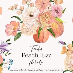 Tierna pelusa de melocotón floral acuarela clipart - rubor pastel y ramos de flores púrpura marcos delicado alfabeto de corona, textura degradada granulada