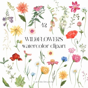 Clipart aquarelle bricolage fleurs des prés - fleurs des champs amour en fleurs fleurs Dahlia pavot digitale délicate petite fête de naissance des fleurs sauvages