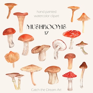 Imágenes Prediseñadas de setas de acuarela - Hongos Amanita Forest Toadstools Brown Cap Mushroom Chanterelle Fall Woodland Baby Shower Cartel botánico PNG