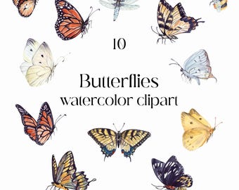 Watercolor Butterfly Clipart: Meadow Insect Stickers (Digital Download)