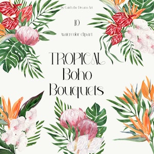 Tropische Boho Blumen Aquarell Clipart - Exotische Dschungel Blumen Tropischer Sommer Protea Strelitzia Monstera Blätter Paradies Hochzeit png