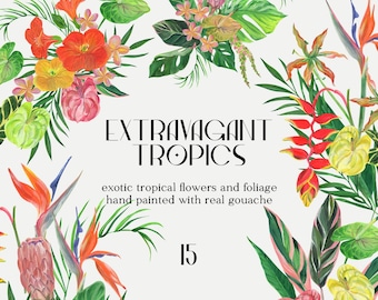 Clipart de flores tropicales: Flores de la selva en gouache (PNG)